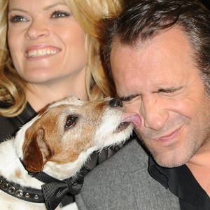 Jean Dujardin, Uggie, Missi Pyle Jean Dujardin, Uggie, Missi Pyle